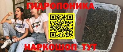 2c-b Гатчина