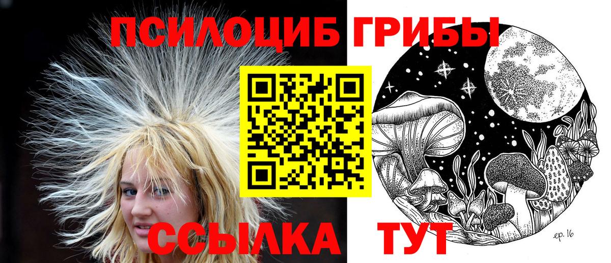 Галлюциногенные грибы Cubensis  Вход с VPN  Псилоцибиновые грибы GOLDEN TEACHER  Новоалександровск 